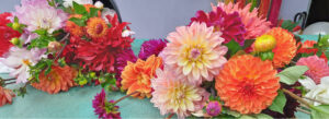 Sommerflor im Blütenreich