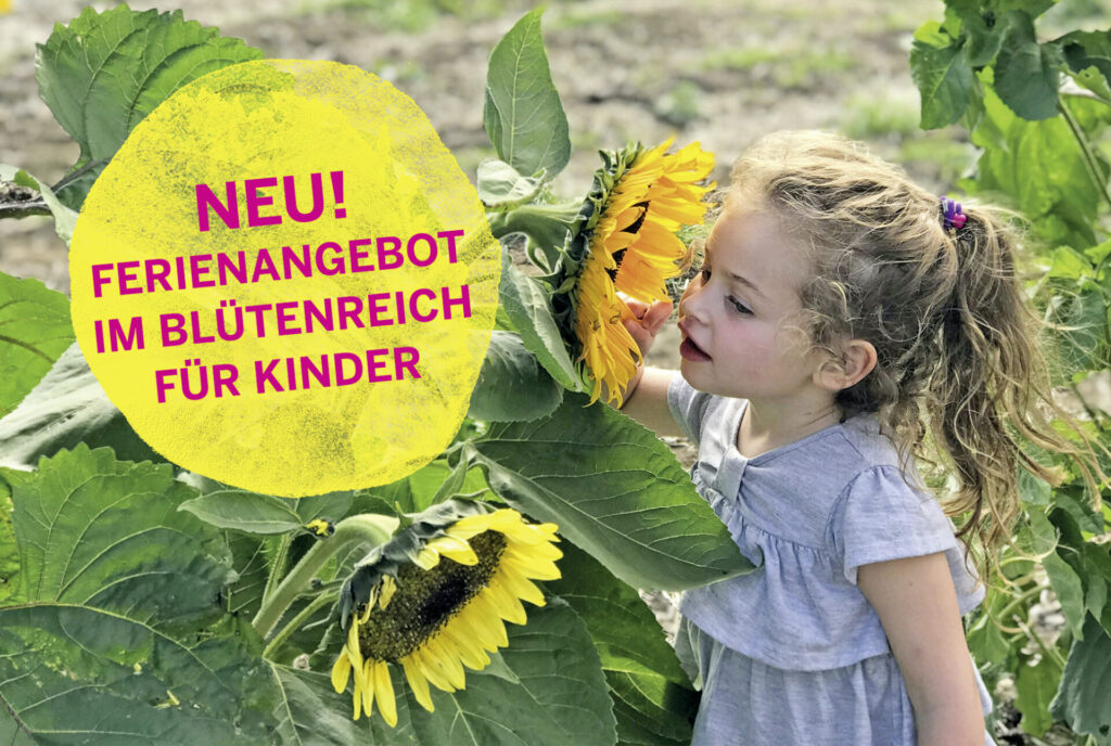 Kind riecht an Sonnenblume